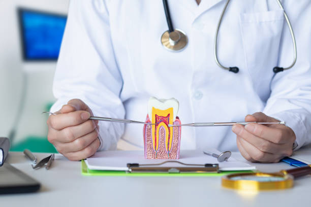 Best Emergency TMJ Treatment in Walls, MS